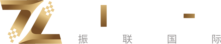 Zillyen International Logo
